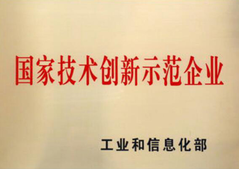 國家技術(shù)創(chuàng)新示范企業(yè)